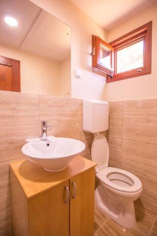 Green House Hostel بلغراد المظهر الخارجي الصورة