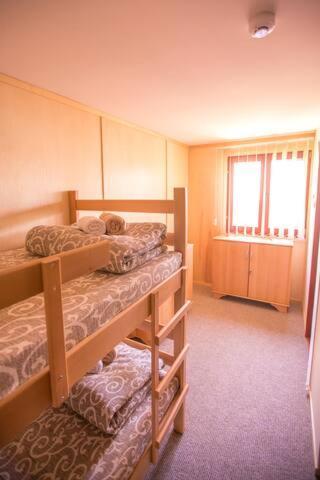 Green House Hostel بلغراد المظهر الخارجي الصورة