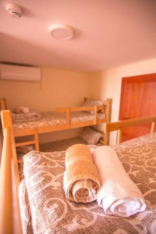 Green House Hostel بلغراد المظهر الخارجي الصورة